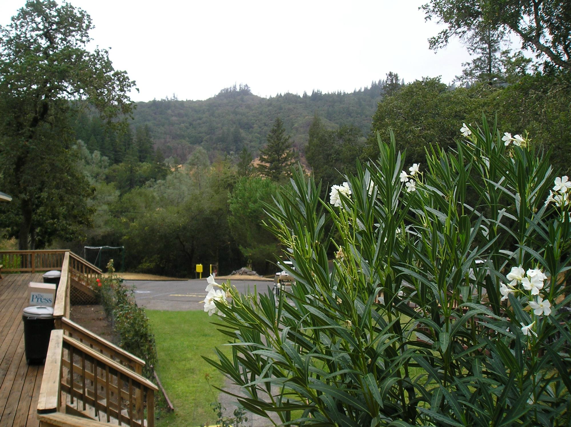 RUSSIAN RIVER RV CAMPGROUND Hotel Cloverdale CA Prezzi 2022 E   Russian River Rv Campground 