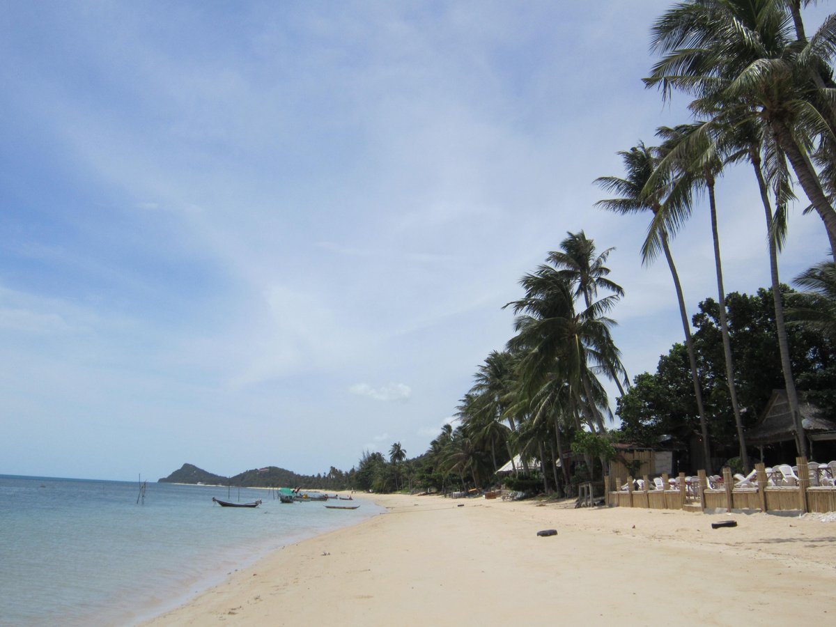 ANNA RESORT - Hotel Reviews (Ko Samui/Bophut)