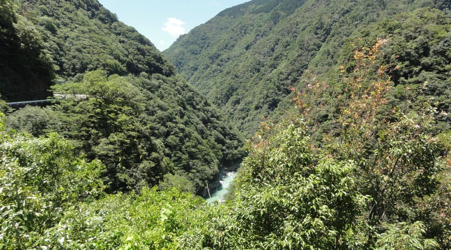 展望台からの景色です