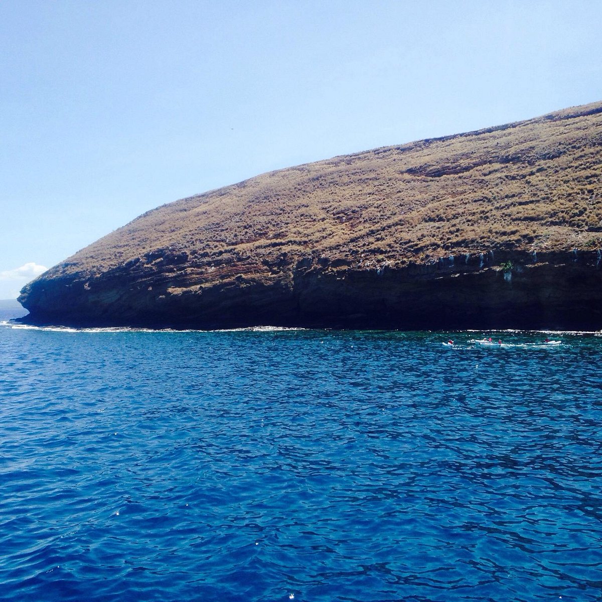 Molokini Crater Остров Мауи лучшие советы перед посещением Tripadvisor