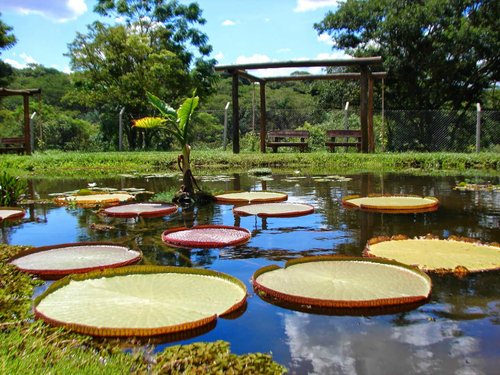 2 lugares 'secretos' de pura natureza para você conhecer em