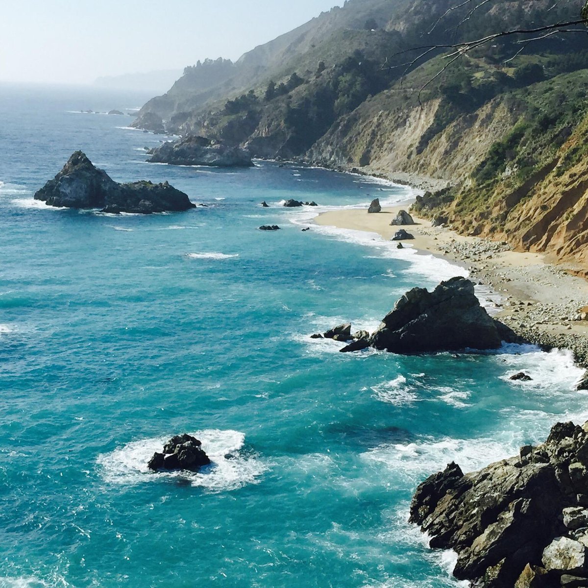 Pfeiffer Big Sur State Park - 빅 서 - Pfeiffer Big Sur State Park의 리뷰