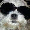 Joey S