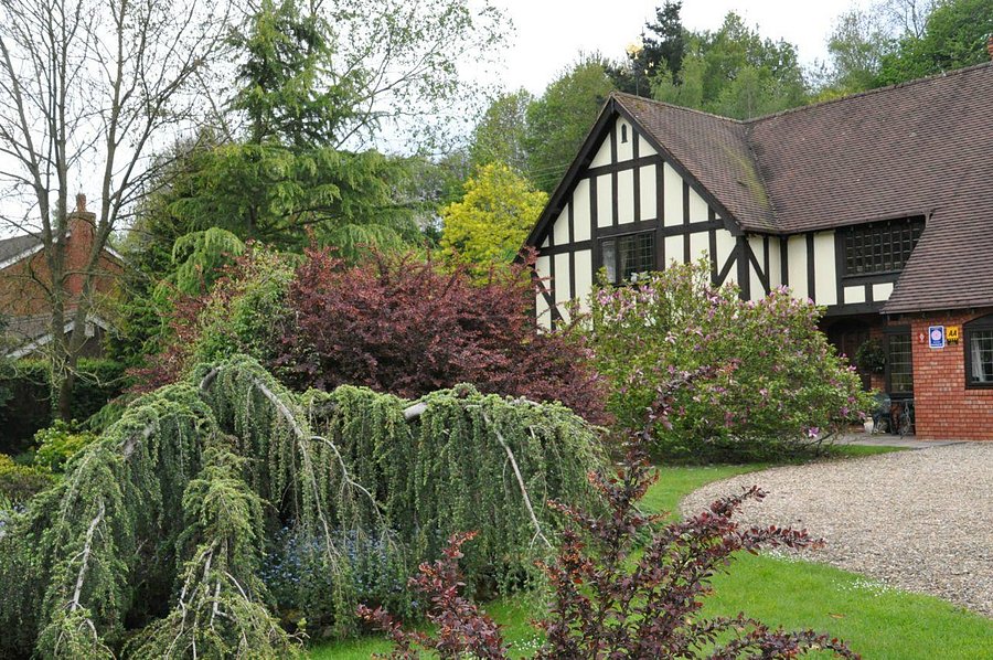 MOUNT PLEASANT LODGE - B&B Reviews & Photos (Aymestrey) - Tripadvisor