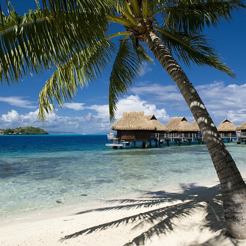 The 10 Best Bora Bora Hotel Deals (Jun 2024) - Tripadvisor