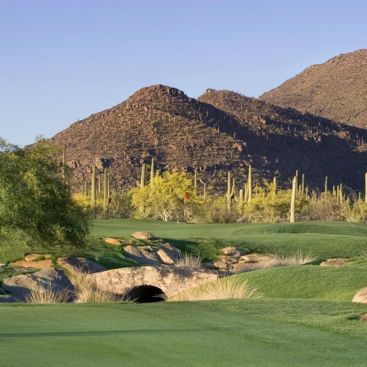 Gallery Golf Club (Marana) All You Need to Know BEFORE You Go