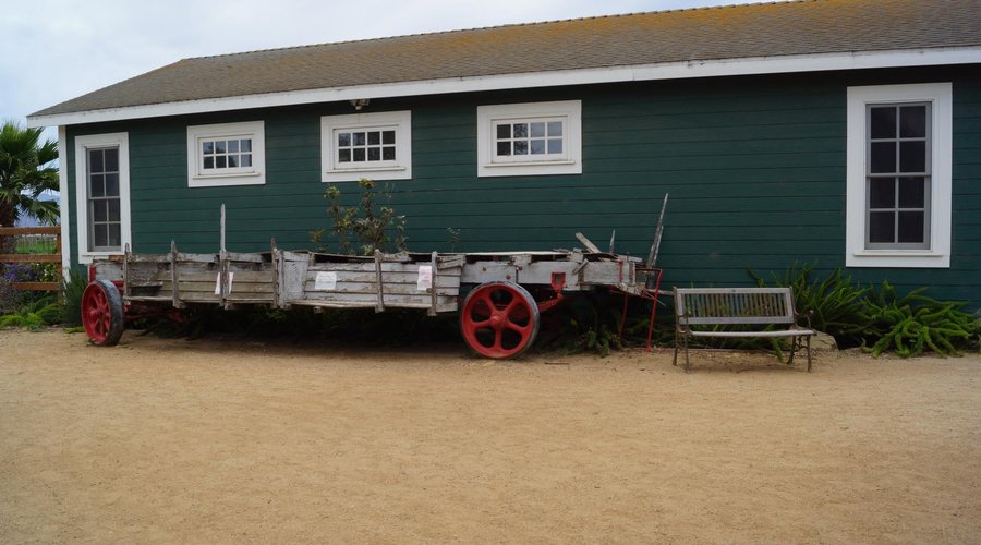 the farm