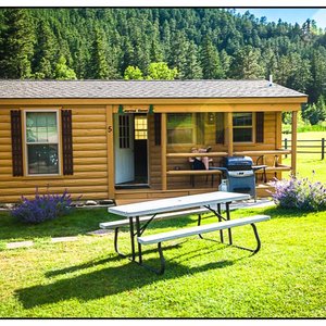 American Pines #5 Battle Creek Cabin