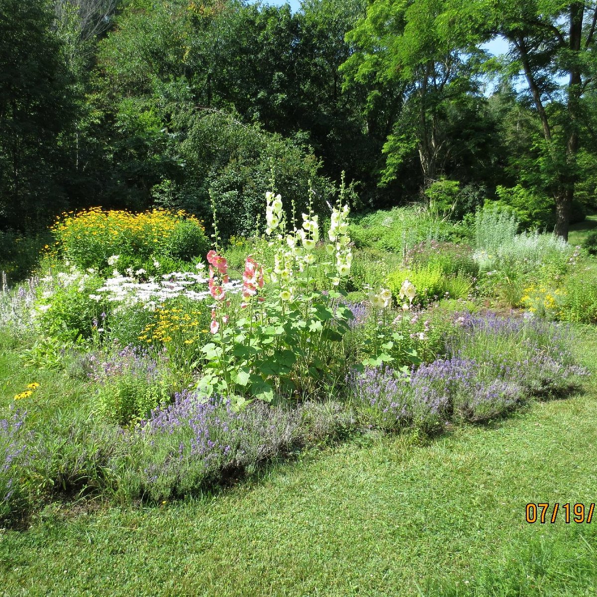 MERRYSPRING NATURE CENTER (Camden) - All You Need to Know BEFORE You Go