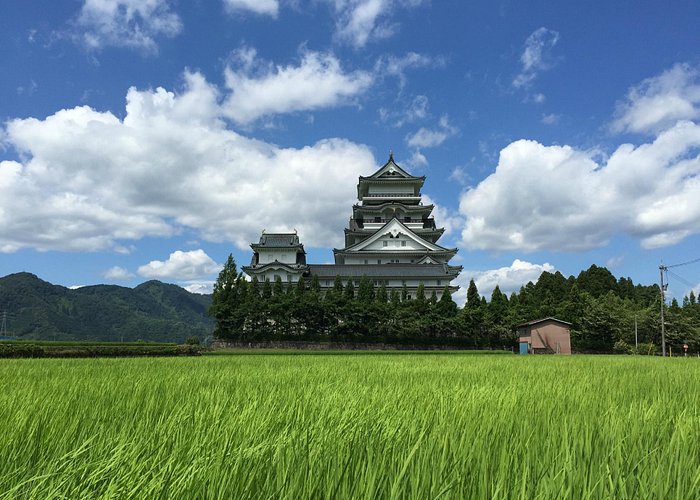 Katsuyama Castle surrounded by rice paddies