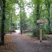 Ein Eingangsweg