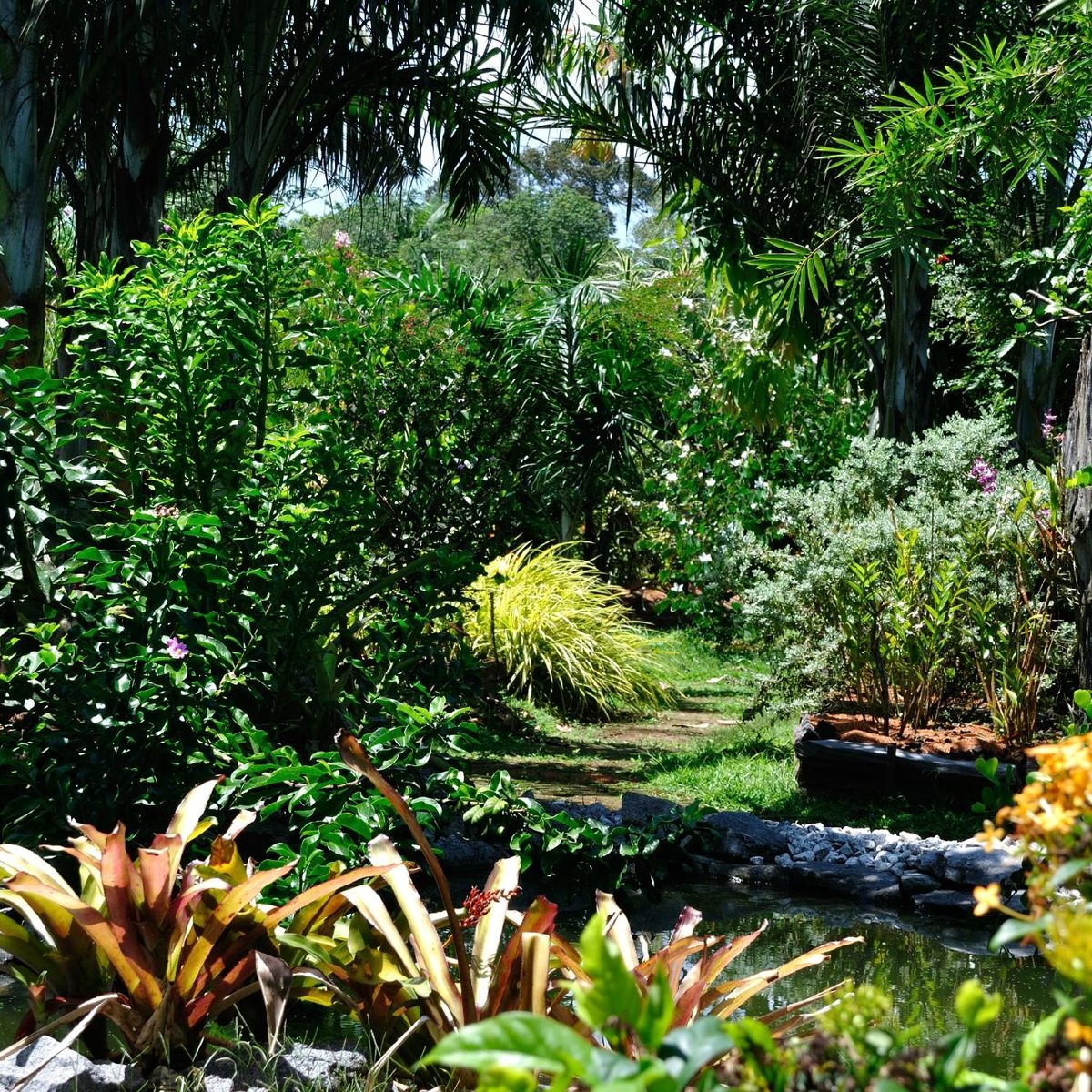 JARDIN BOTANIQUE DE GUYANE - All You MUST Know Before You Go (2024)