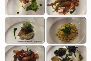 Cibo
