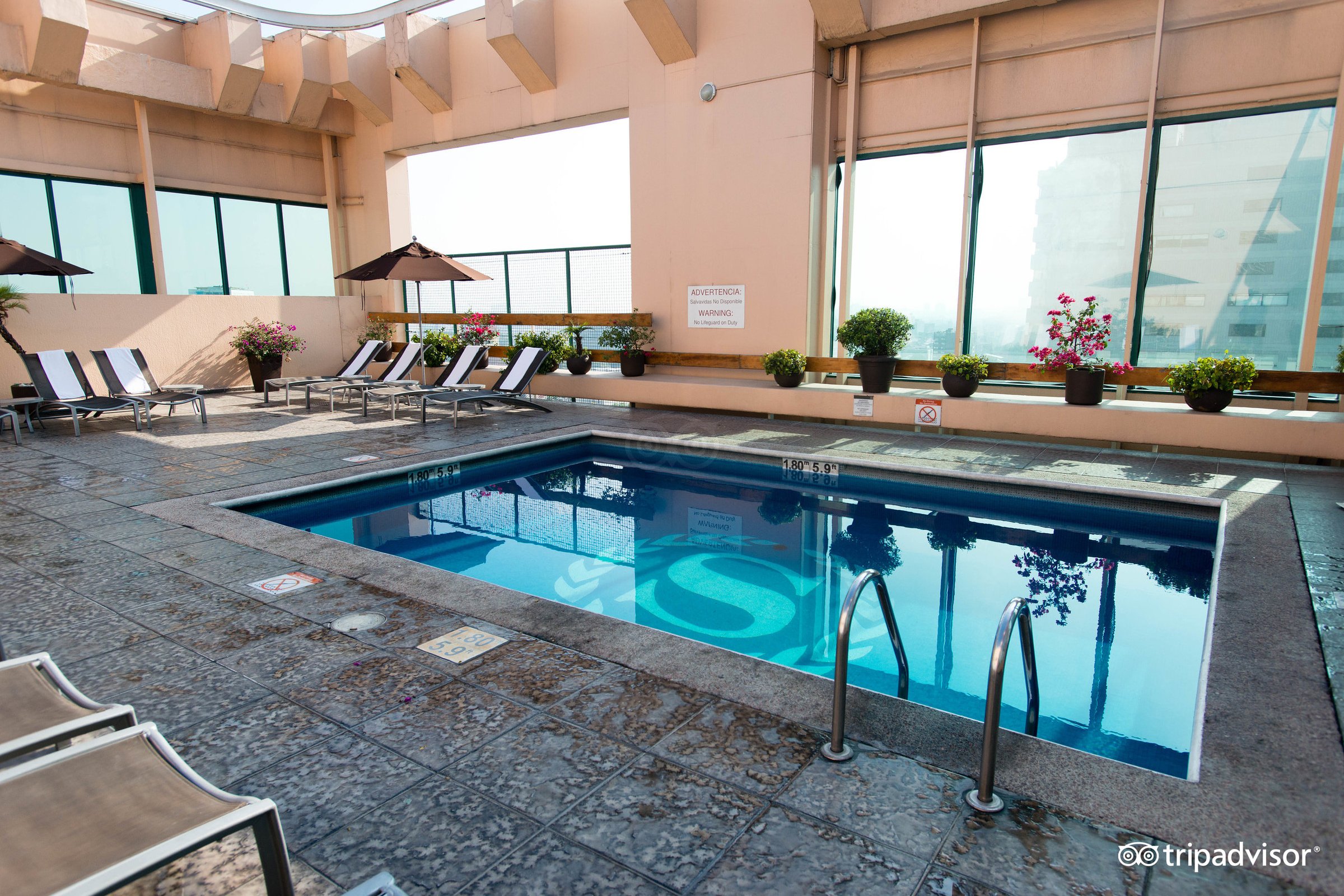 Sheraton Mexico City Maria Isabel Hotel Pool: Pictures & Reviews 