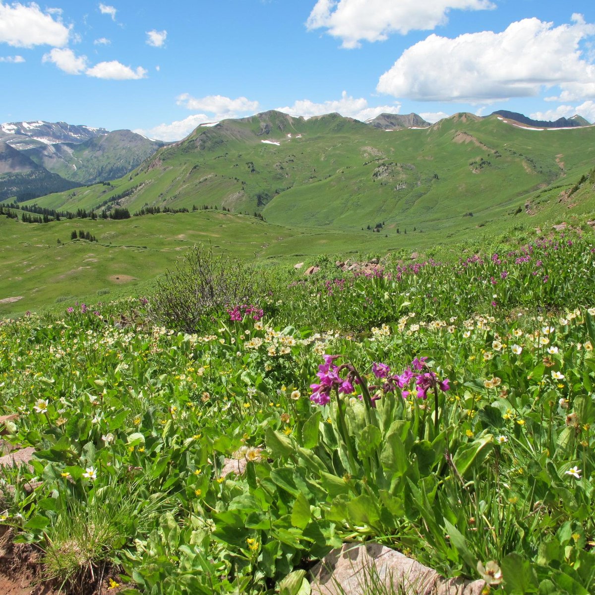 West Maroon Trail, Аспен: лучшие советы перед посещением - Tripadvisor