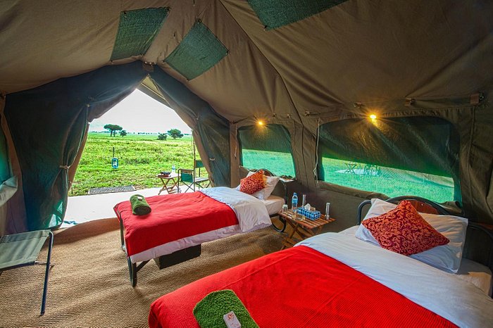 Abundantemente Ocupar Venta anticipada KANANGA SPECIAL TENTED CAMP (Parque Nacional del Serengeti, Tanzania):  opiniones y precios