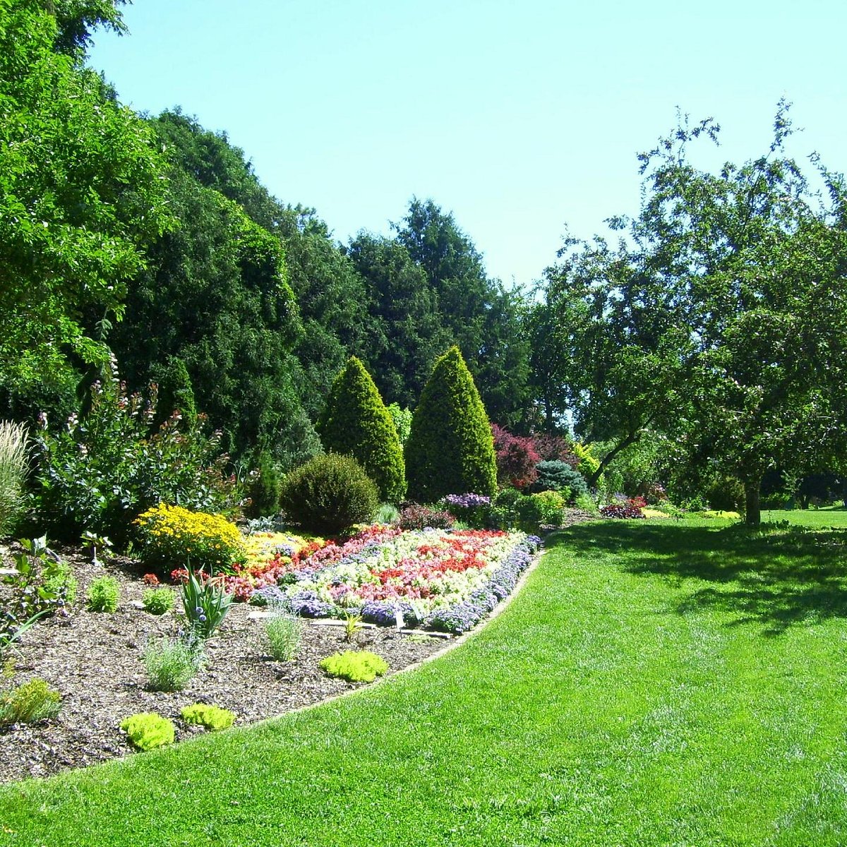 are dogs allowed in lyndale park rose garden