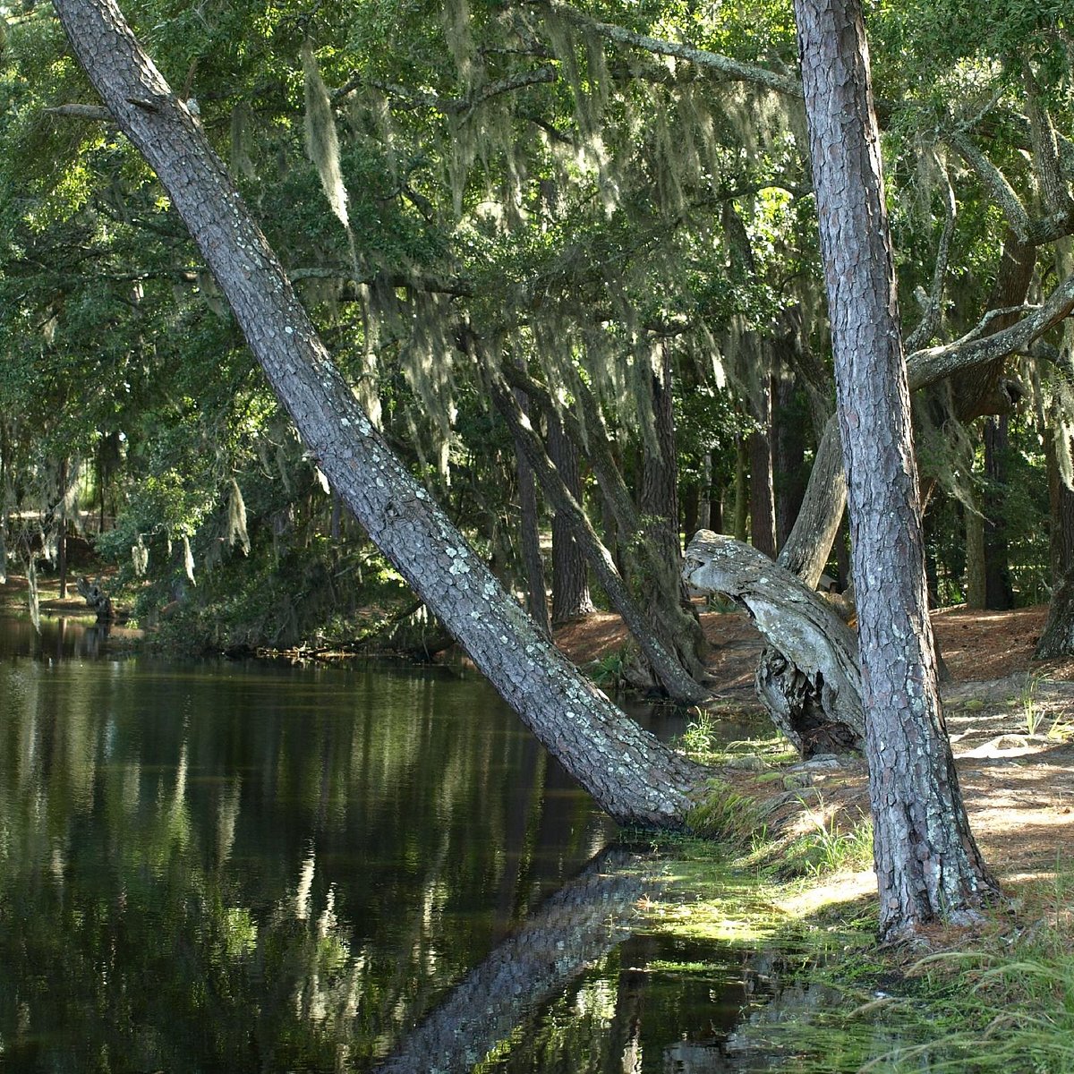 National fishing