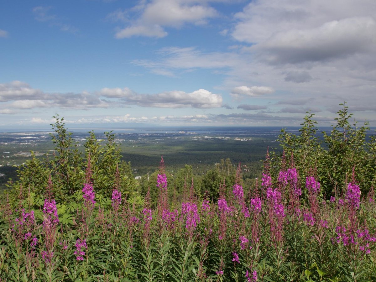 907 Tours Anchorage Day Tours All You Need to Know BEFORE You Go (2025)
