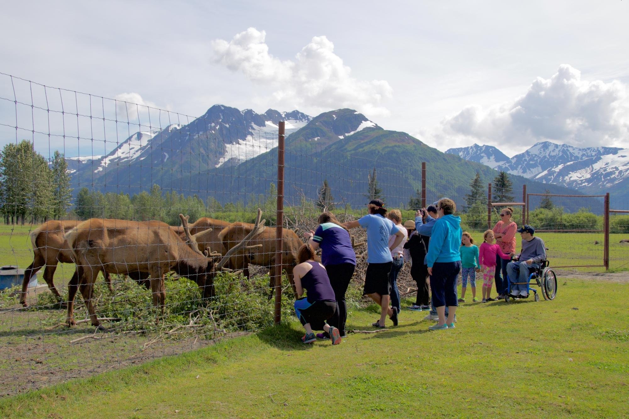 907 Tours Anchorage Day Tours All You Need to Know BEFORE You Go (2025)