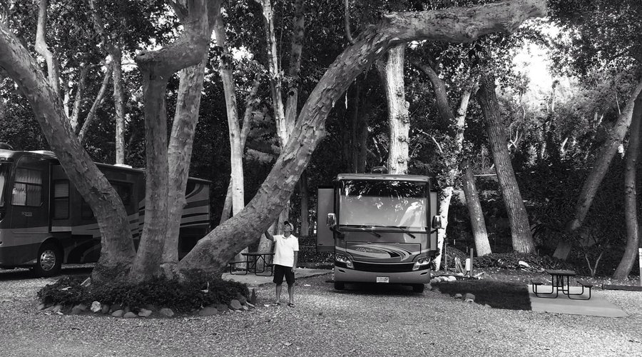 Love the Cottonwoods!