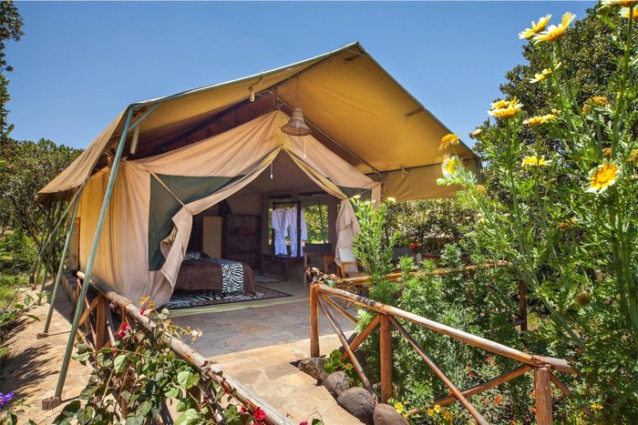 RHINO WATCH SAFARI LODGE - Updated 2024 Prices & Reviews (Nyeri, Kenya)