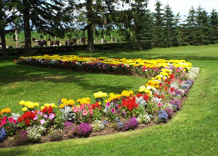 Flower Bed at Grand-Pre.