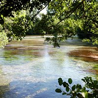 Partage Des Eaux L'Isle-sur-la-Sorgue