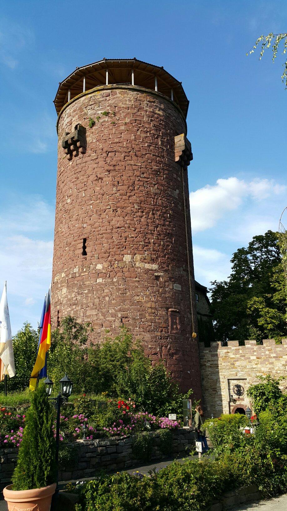 real rapunzel castle