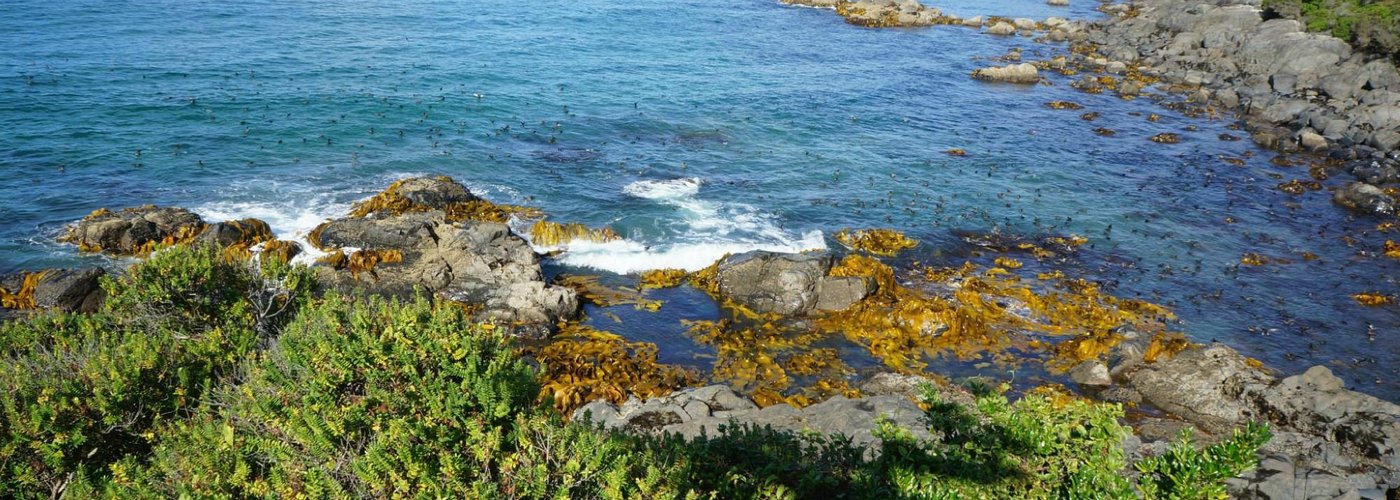 Stirling point view.