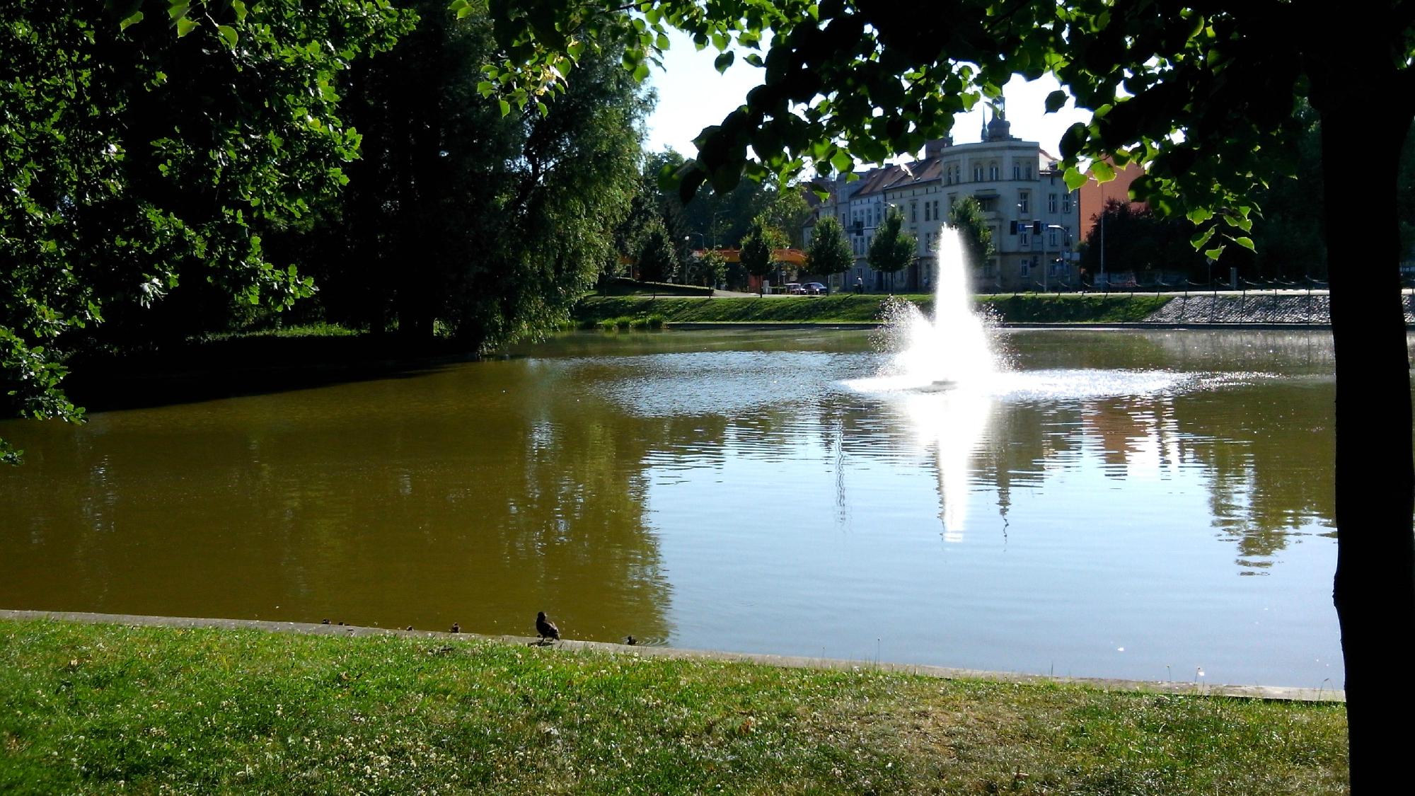 Municipal Park (Legnica) - 2022 Alles Wat U Moet Weten VOORDAT Je Gaat ...