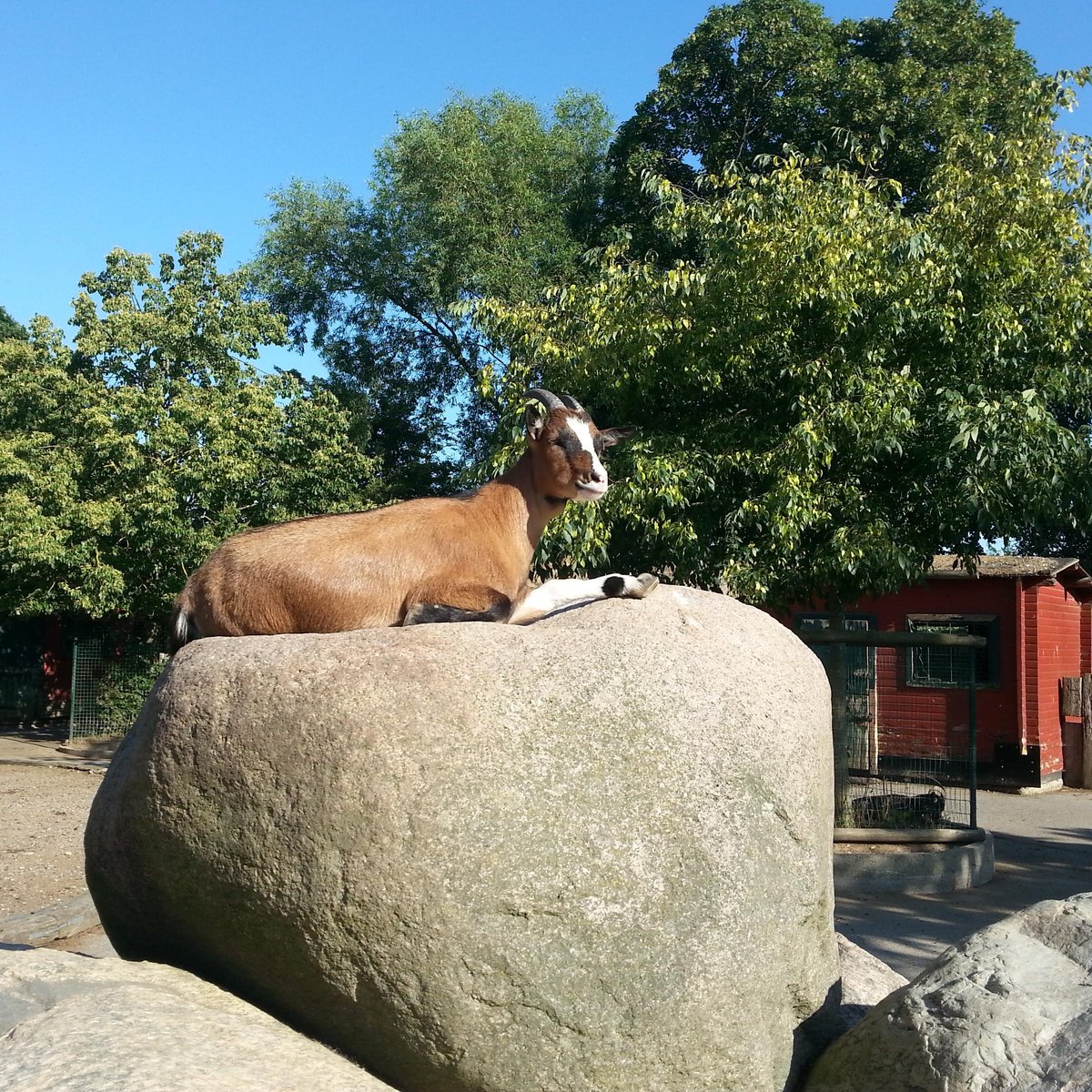 Derr Zoo-Park Arche Noah in Gromitz/Ostsee, Громитц: лучшие советы перед  посещением - Tripadvisor