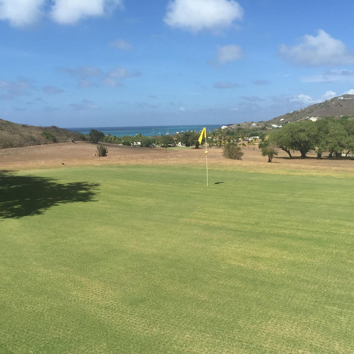 REEF CLUB GOLF COURSE (St. Croix) All You Need to Know BEFORE You Go