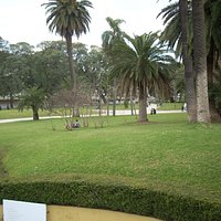 Vista de la plaza desde la terraza
