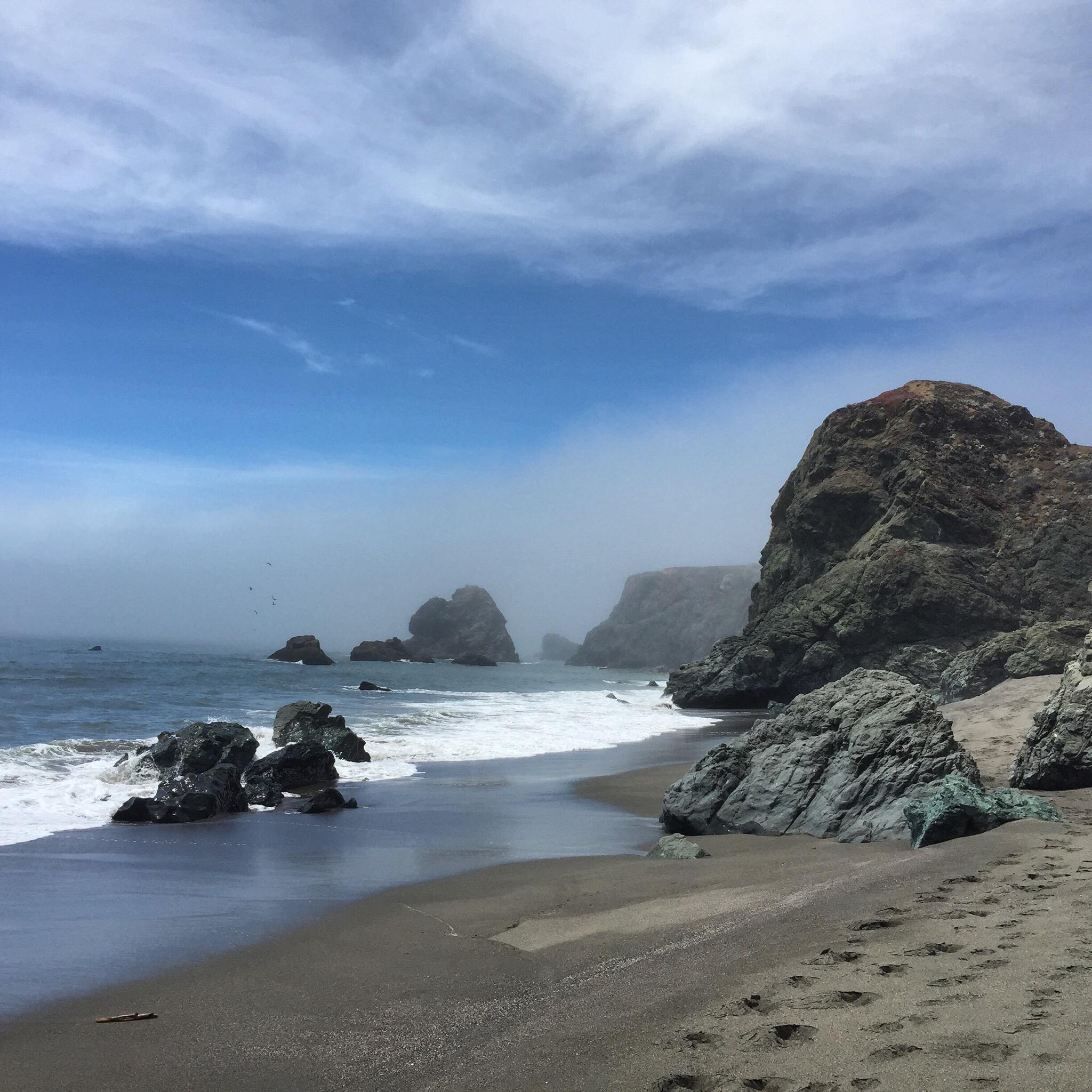 Explore Wrights Beach: A Hidden Gem in Sonoma County, California