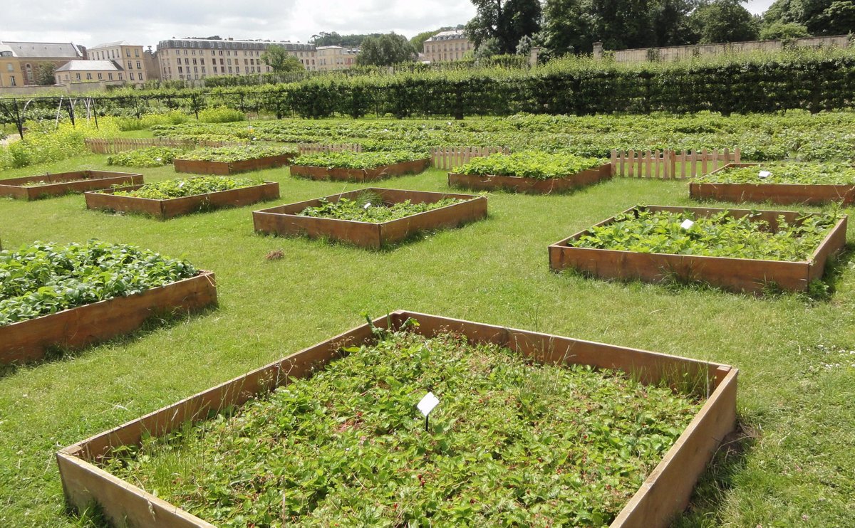 Le Potager du Roi, Версаль: лучшие советы перед посещением - Tripadvisor