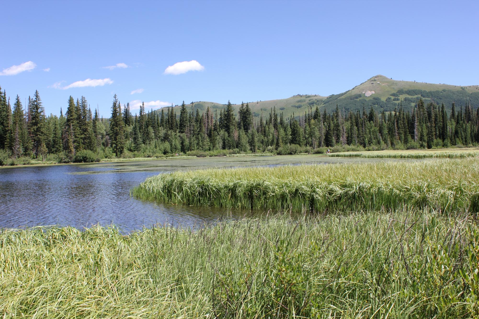 WASATCH CACHE NATIONAL FOREST Brighton 2023 Qu Saber Antes De Ir   Wasatch Cache National 