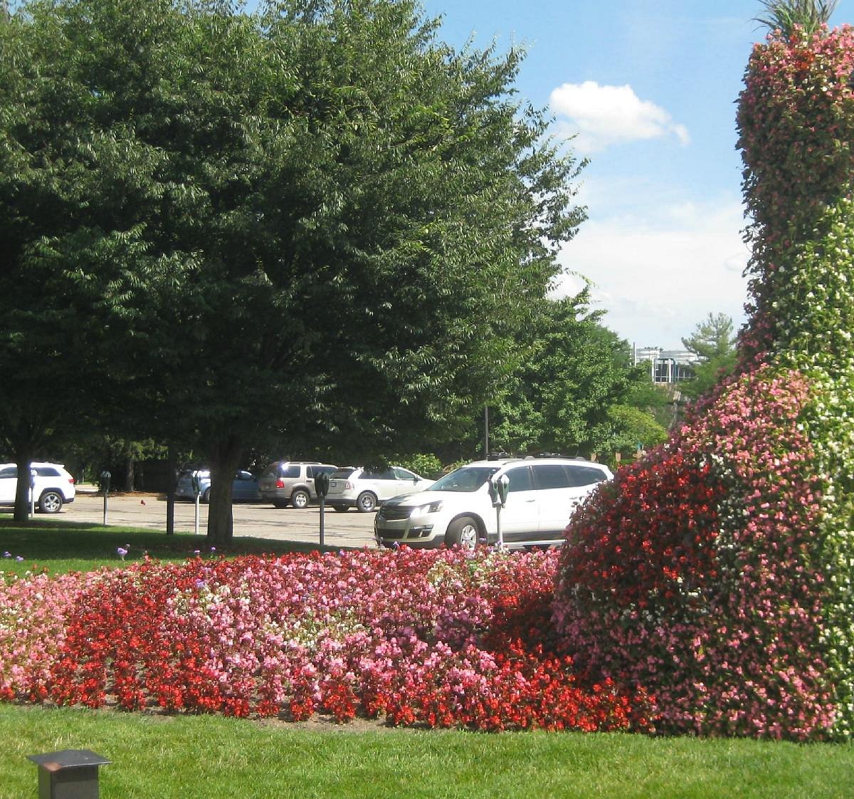 Cardinals - Gardening Solutions - University of Florida, Institute