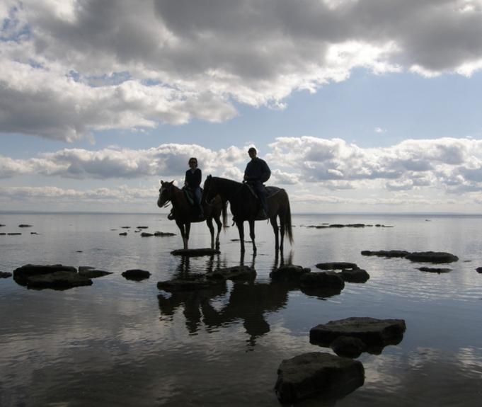 THE 10 BEST Ontario Horseback Riding Tours 2024 Tripadvisor   Horseback Ride Along 