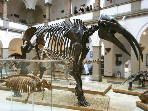 THE BEST Munich Science Museums (with Photos) - Tripadvisor