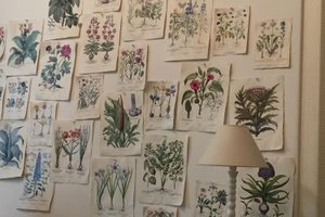 Chambre et suite