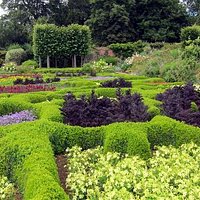 Parterre in summer