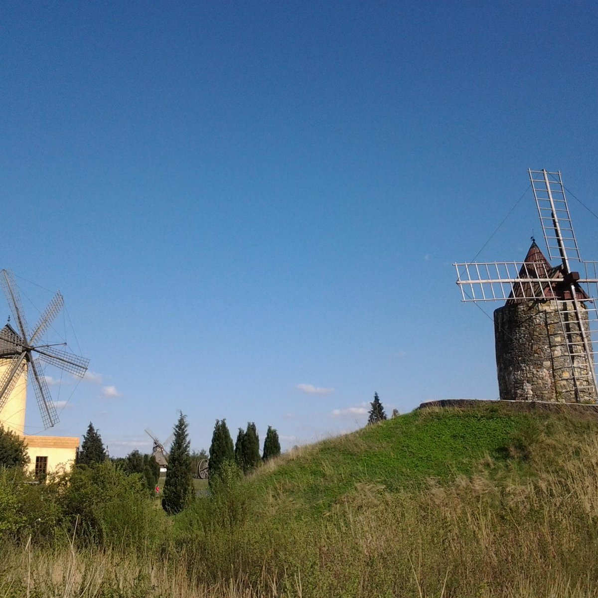 Internationales Wind- und Wassermuehlen-Museum, Гифхорн: лучшие советы  перед посещением - Tripadvisor