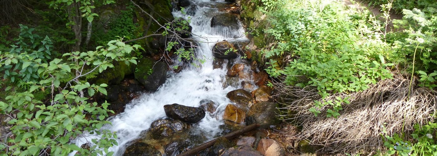 Meadow Creek cascade