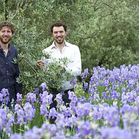 Gionni and Paolo Pruneti between Olives trees and Iris