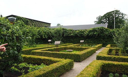 Trädgård