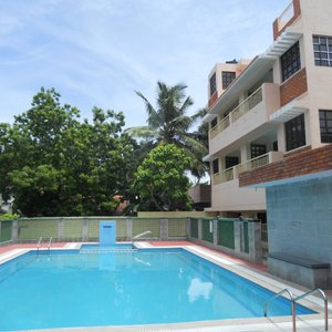 Laze or Swim