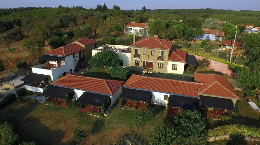 a bird's eye view