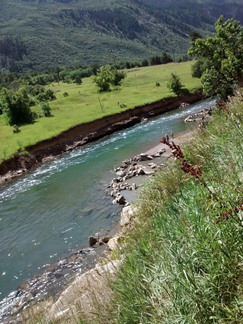 are hot springs bad for dogs