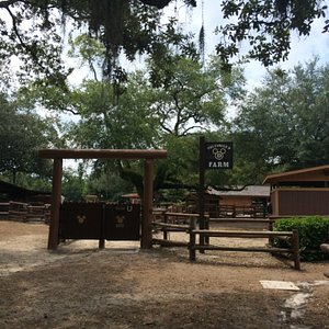 The Orlando Renaissance Festival at Bill Frederick Park